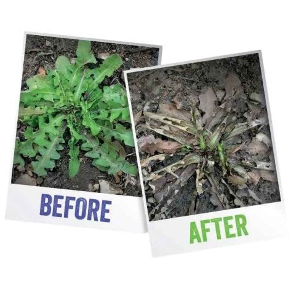 image 1 of Resolva Lawn Weedkiller Extra 3L RTU Ready to Use | Selective | Controls Dandelions, Clover & Plantain | Does Not Harm Grass | 3L RTU