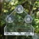 image 2 of Hanging Window Wild Bird Feeder Table Clear Viewing Perspex 3 Suction Pads 4pk