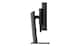 image 9 of Lenovo ThinkVision P49w-30, 124.5 cm (49 inches), 5120 x 1440 pixels, DQHD, LED, 6 ms, Black | Black | 119.8 cm