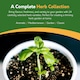 image 2 of Pronto Seed Herb Seeds Bumper Pack – 24 Culinary Herb Varieties, Over 2,600 Seeds for Kitchen & Garden Growing