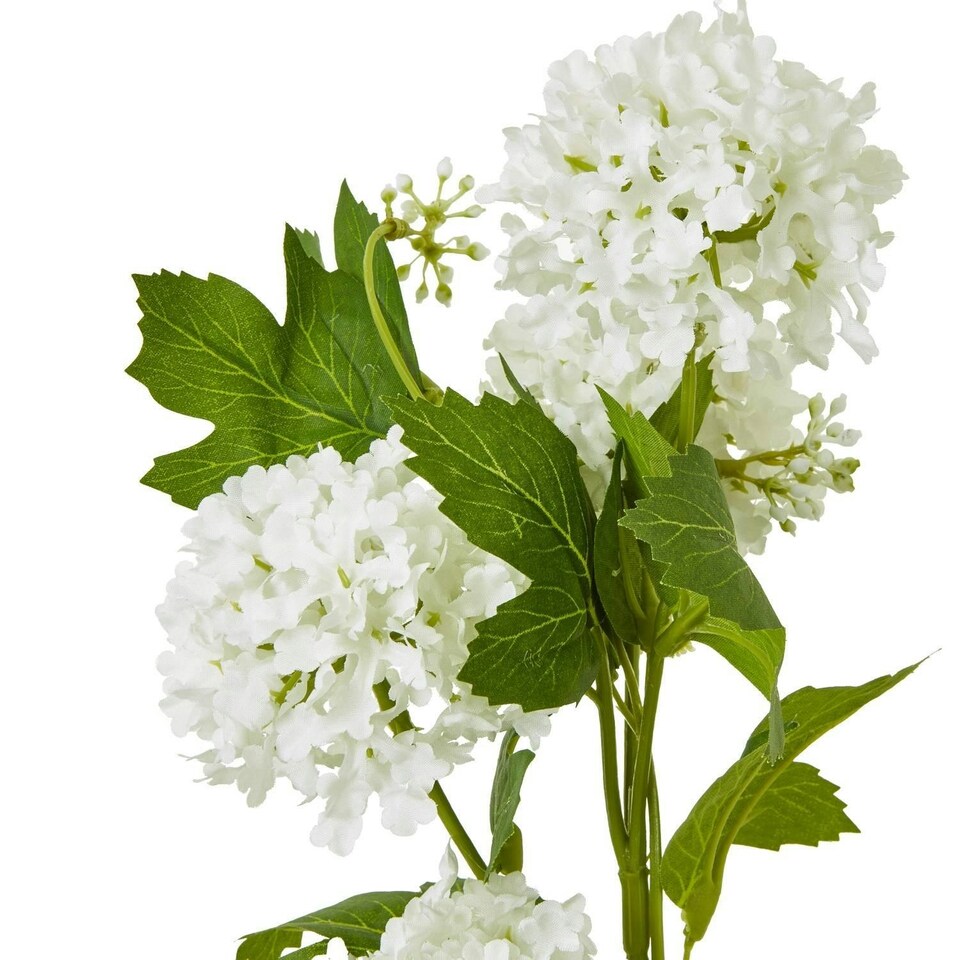 image 1 of Hill Interiors Snowball Viburnum Artificial Flower Spray - Cream - 77cm
