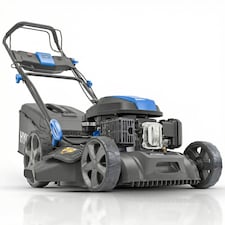 Plant & Lawn Care