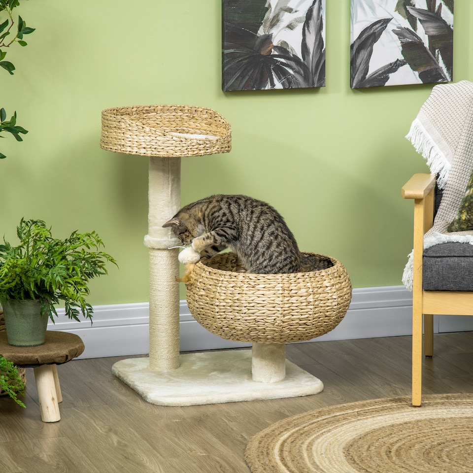 image 1 of PawHut 72cm Cat Tree with 2 Beds, Cat Tower with Scratching Post, Toy Ball for for Indoor Kittens - Beige