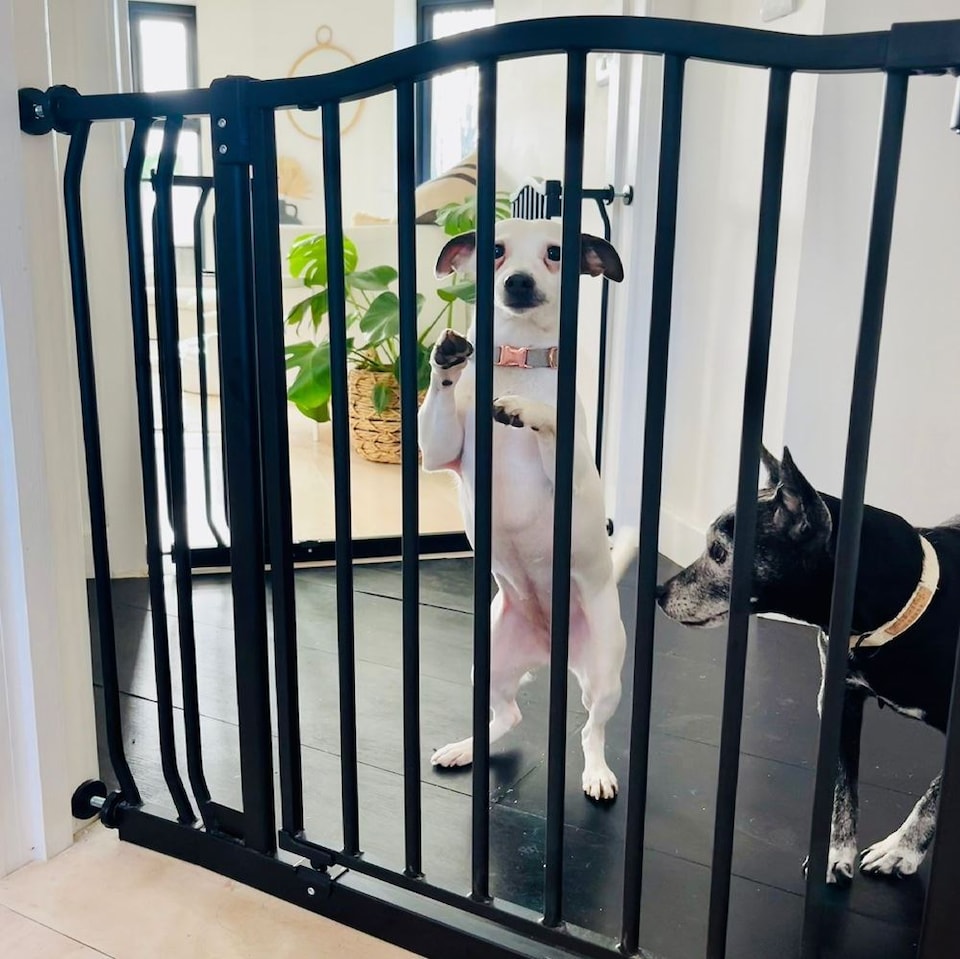image 1 of Safetots Curved Top Safety Gate, 271cm - 280cm, Matt Black, Pressure Fit Stair Gate, Baby Gate for Doors Hallways and Spaces, Safety Barrier, Easy Installation