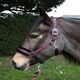 image 1 of Rhinegold Love My Pony Headcollar & Rope Set Green | Size: Full
Colour: Turquoise