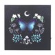 image 1 of Something Different Midnight Moth Light Up Canvas - Multicoloured - One Size | Multi