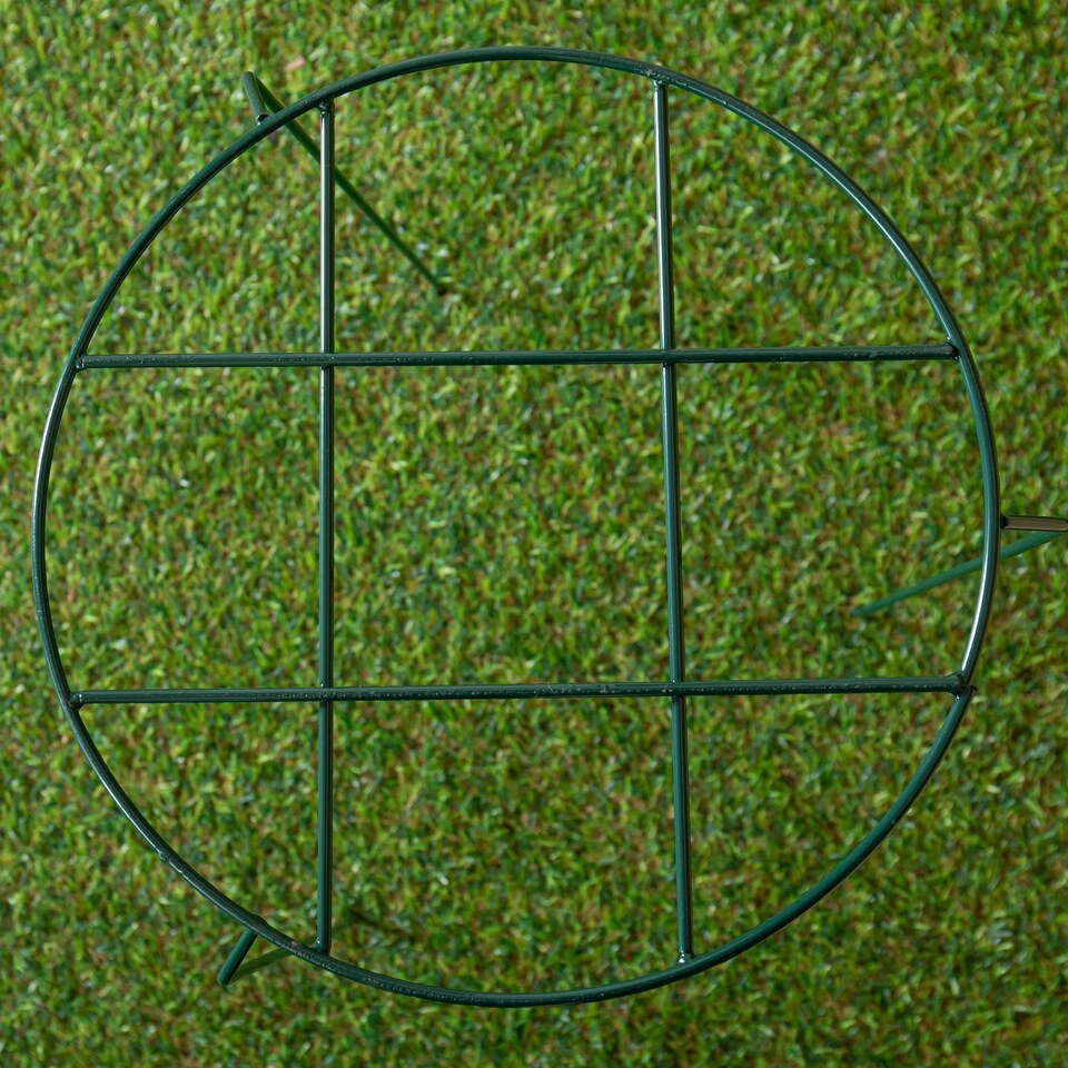 image 1 of Tom Chambers Urban Dark Green Metal Herbaceous Garden Plant Support Grow Through Medium 50cm x 30cm