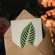 image 3 of Benjamin Fawcett Art Card Vintage Botanical Tiger Plant Leaf