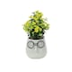 image 1 of Primrose Artificial House Plant in White Pot with Black Glasses Design 17cm