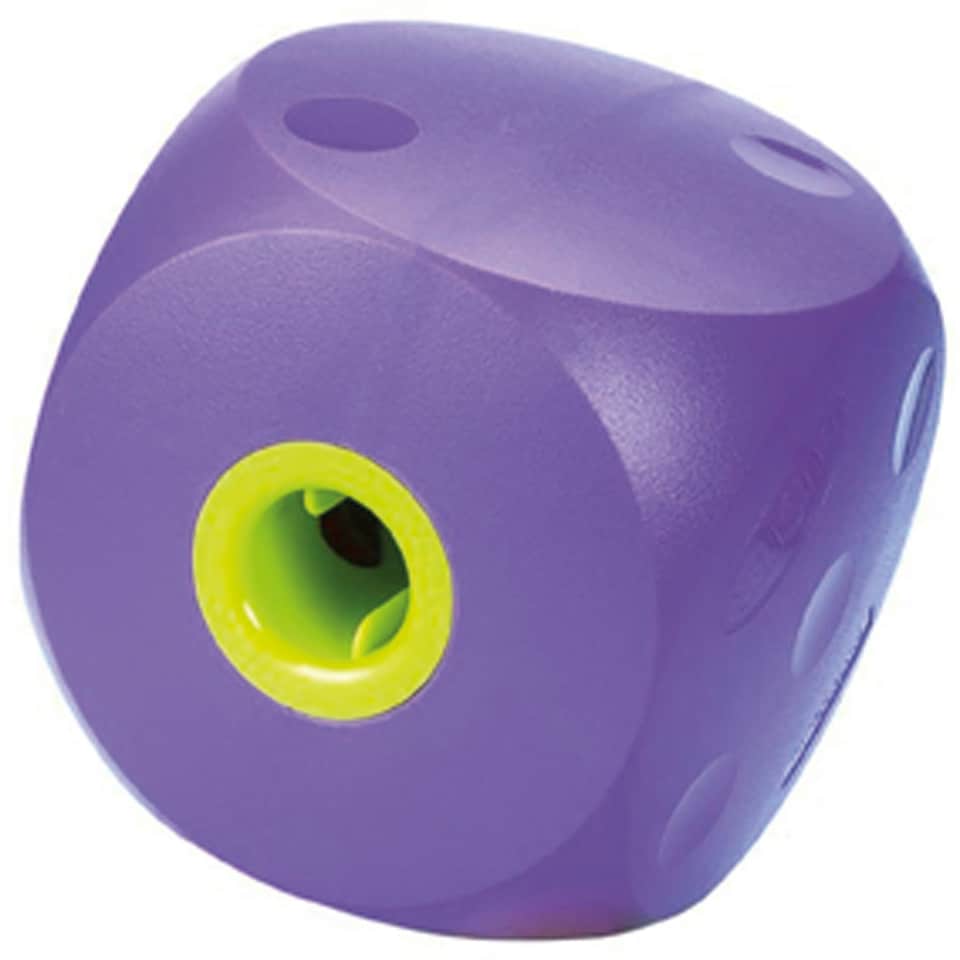 Buster Food Cube - Purple - Large