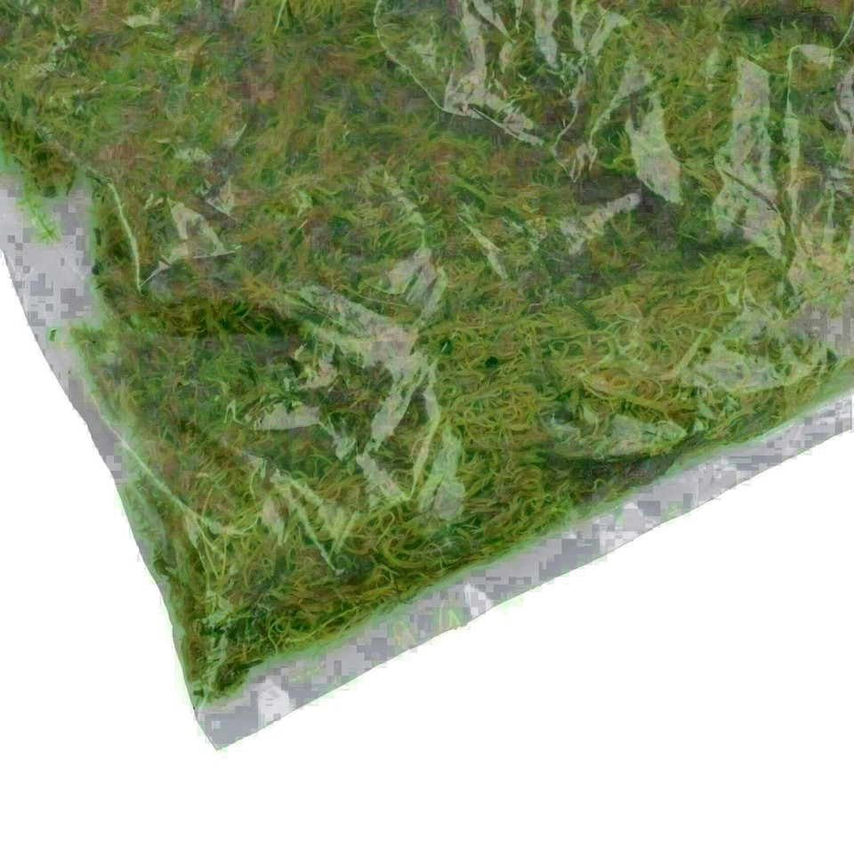 image 1 of 1 Pack of 1.5L Habitat Moss Natural Substrate For Reptile Frog Snake Gecko