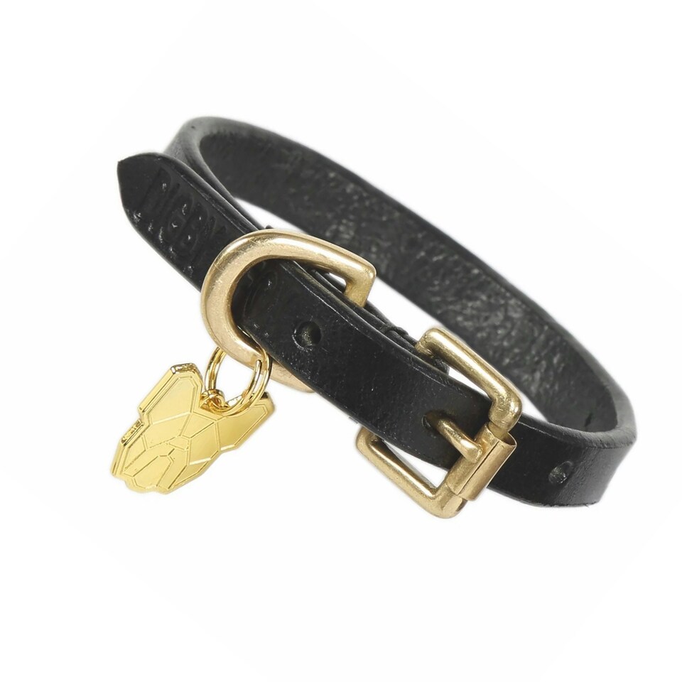 image 1 of Digby & Fox Flat Leather Dog Collar - Black - XXS - Neckline: 8in-11in