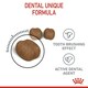 image 5 of Royal Canin Cat Dental Care 8KG