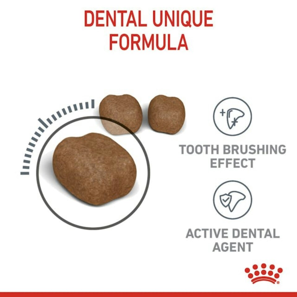 image 1 of Royal Canin Cat Dental Care 8KG
