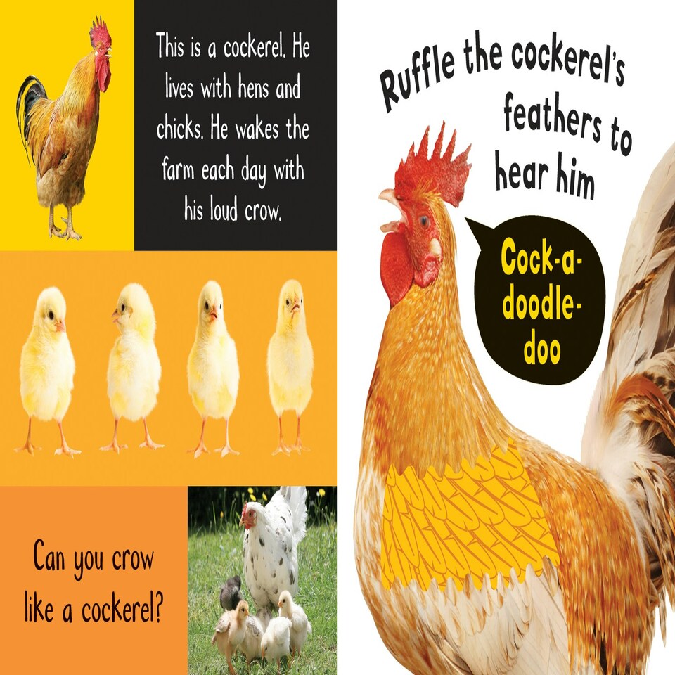 image 1 of Noisy Farm