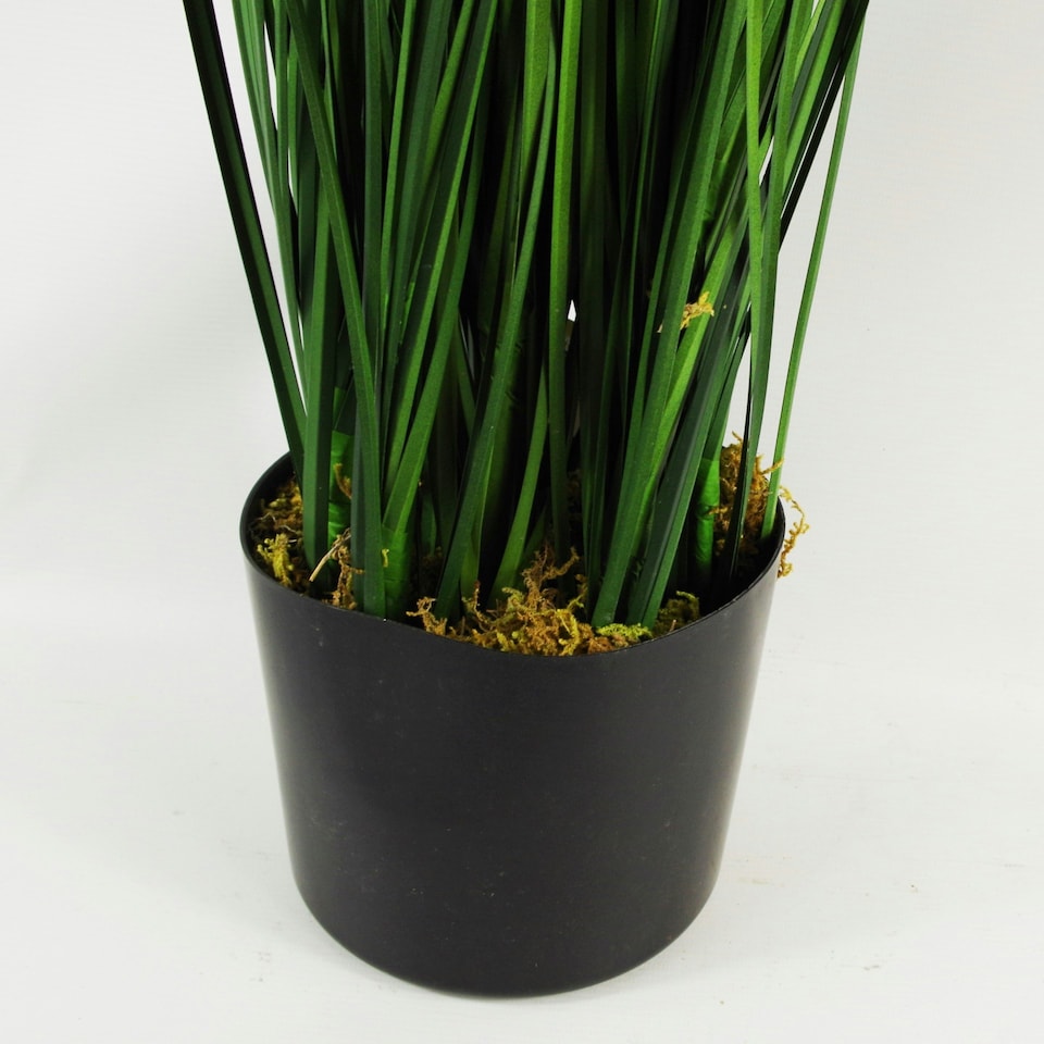 image 1 of Artificial 130cm Onion Grass Plant with Gold Metal Planter