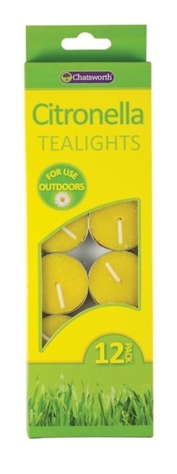 image 1 of Pack of 12 Citronella Tealights Candles