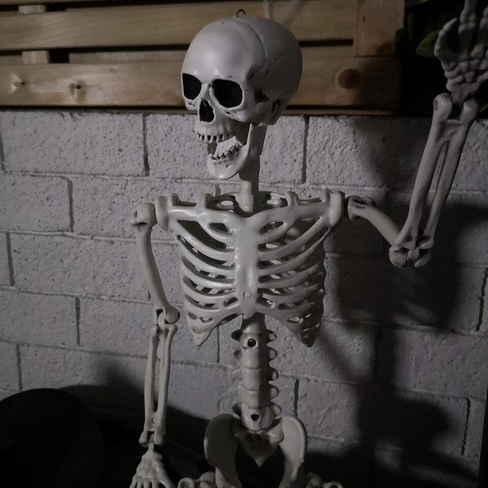 image 1 of 90cm (3ft) Posable Full Body Halloween Skeleton Decoration with Movable Joints