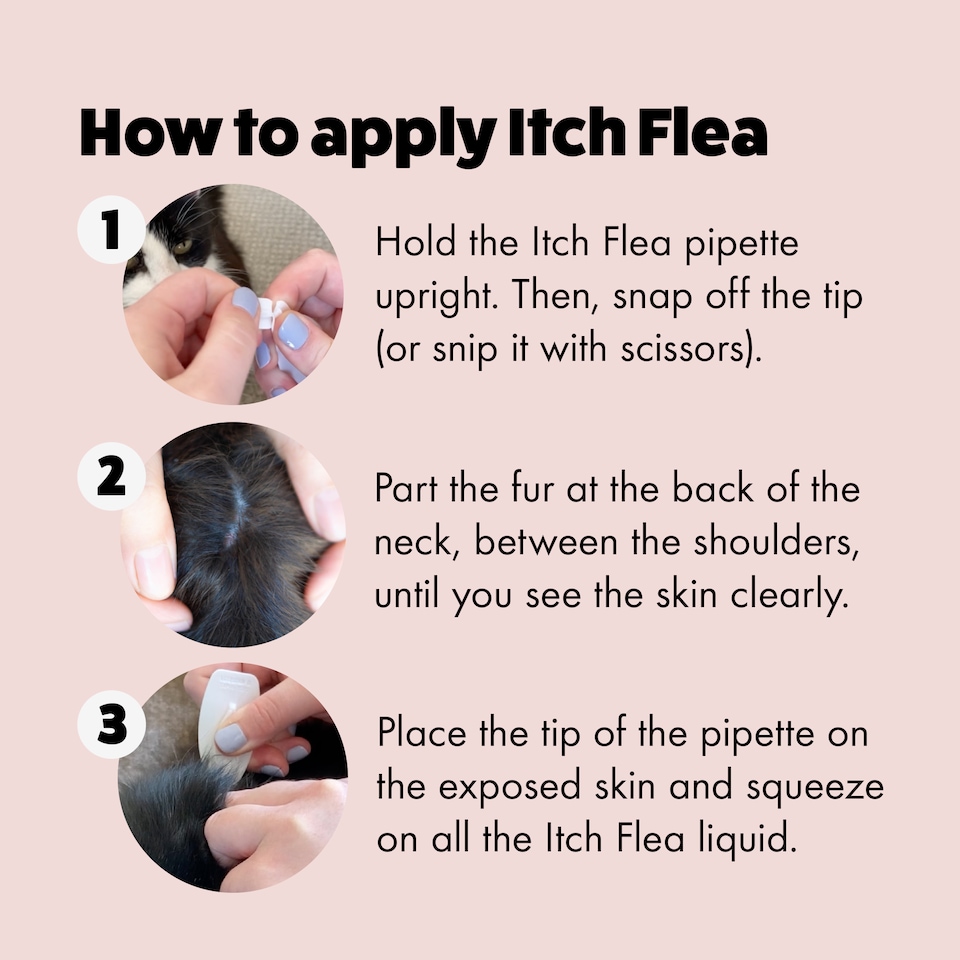 image 1 of Itch Flea Cat Flea & Tick Spot On Treatment 2 Pipette (1kg+)