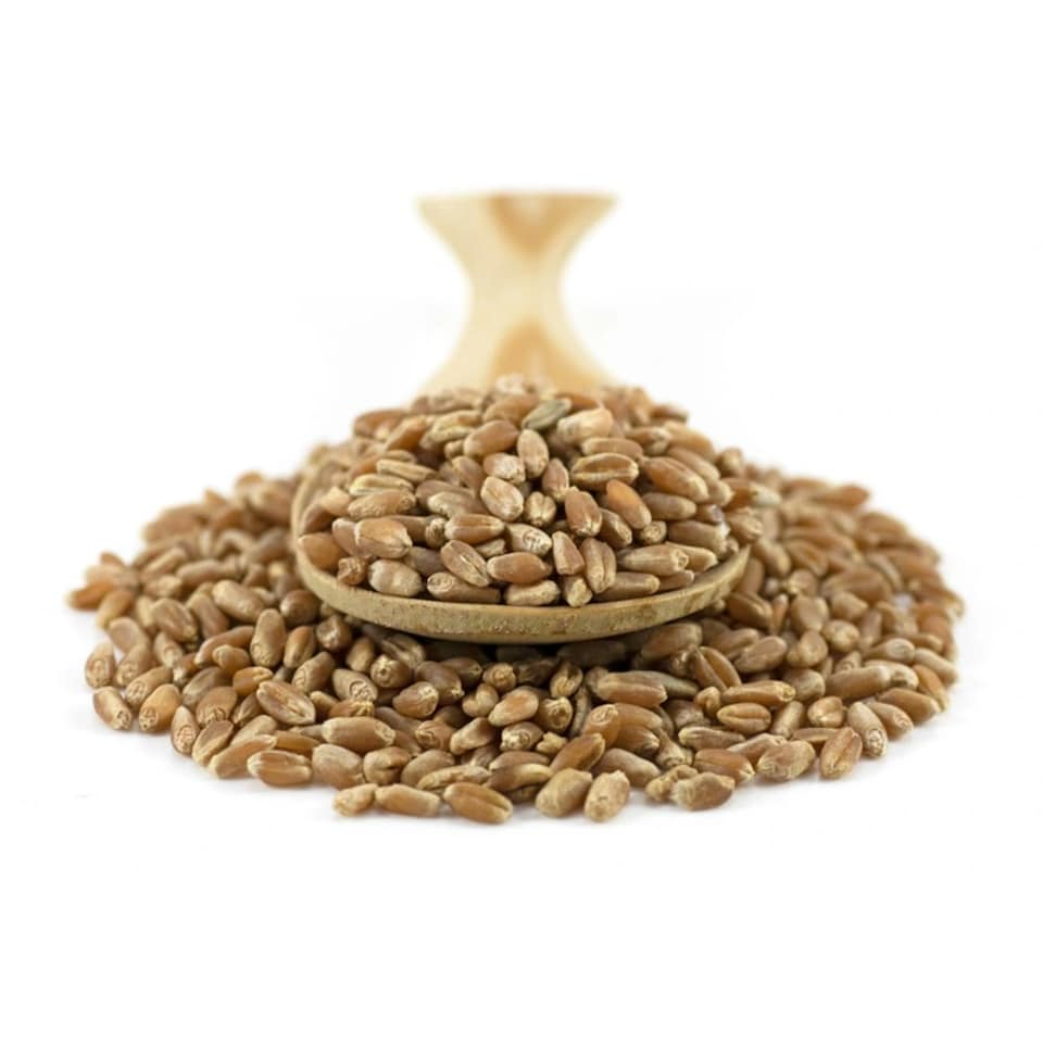 image 1 of Organic Wheat Grain 2kg (Sussex Wholefoods)