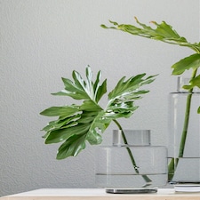 Superfresco White Textured Wallpaper | White | White | 10m Length x 52cm Width