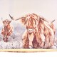 image 10 of Cattle Printed Shade