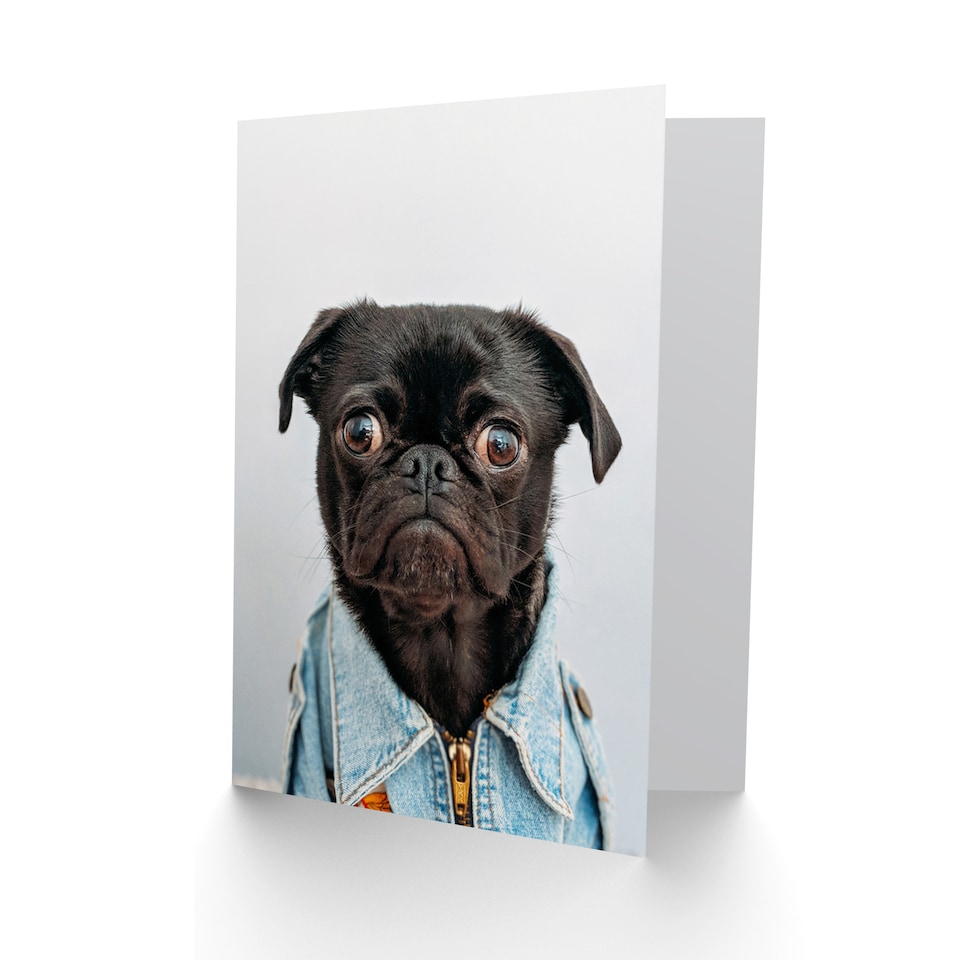 image 1 of Deluvio Pug Puppy Dog In Jacket Greetings Card