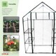 image 3 of 3-Tier 4 Shelf Mini Walk-in Growhouse Garden Greenhouse