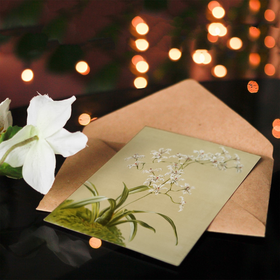 image 1 of Frederick Sander Odontoglossum Ramosissimum Orchid Art Greeting Card