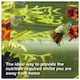 image 3 of King British Holiday Food Block 16g