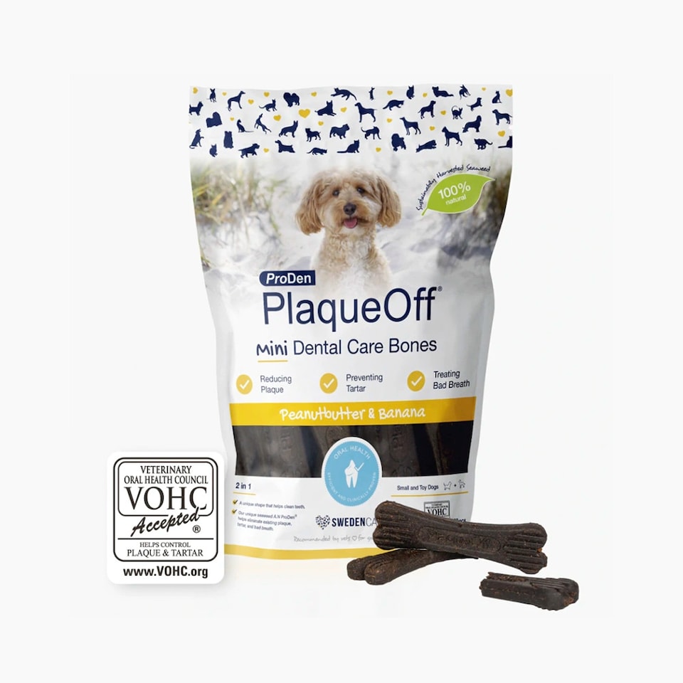 image 1 of ProDen PlaqueOff  Peanut Butter & Banana Mini Dental Bones for Small & Toy Dogs