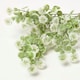 image 3 of Homescapes Artificial Branch with Small White Flowers, 66 cm