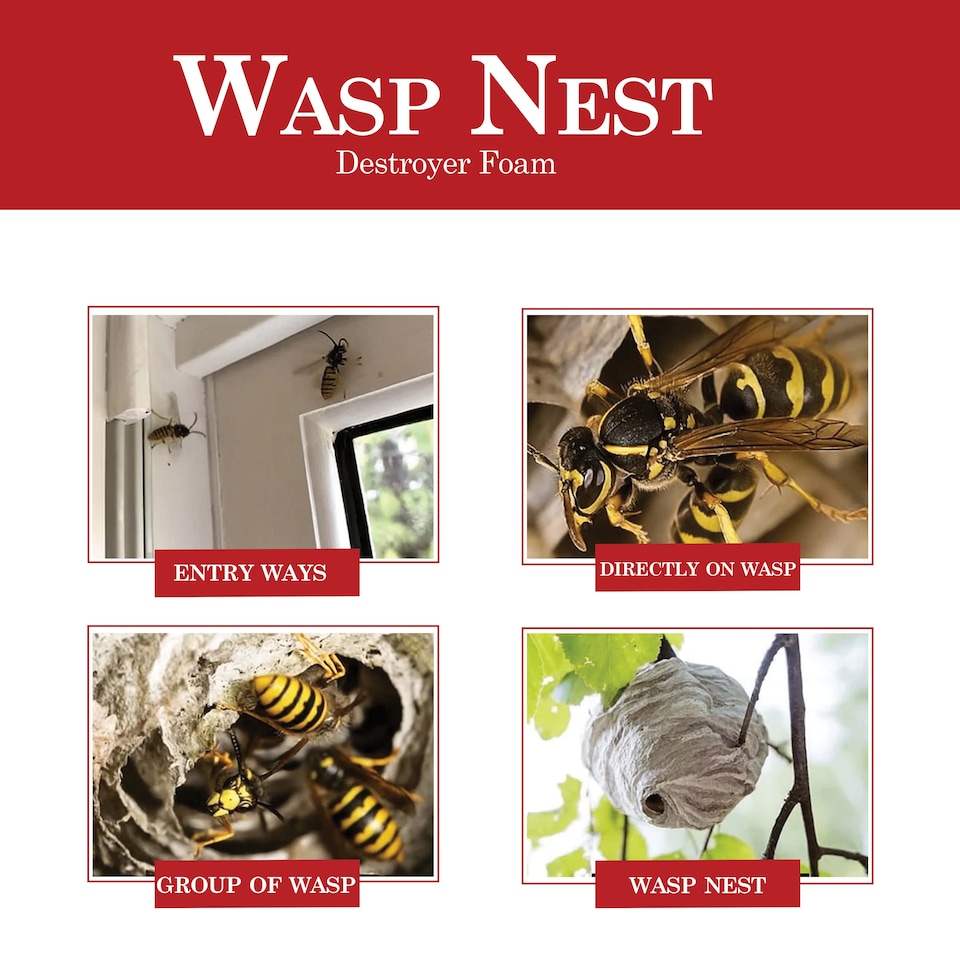 image 1 of Nippon Wasp Nest Destroyer Foam 300ml Fast Acting Spray for Indoor and Outdoor Use Kills Wasps from Safe Distance