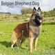 image 1 of Belgian Shepherd Dog 2026 Calendar | Square Wall Calendar | Dog Breed Gift | Plastic Free Packaging | by Avonside Publishing