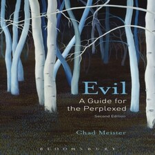 Evil: A Guide For The Perplexed