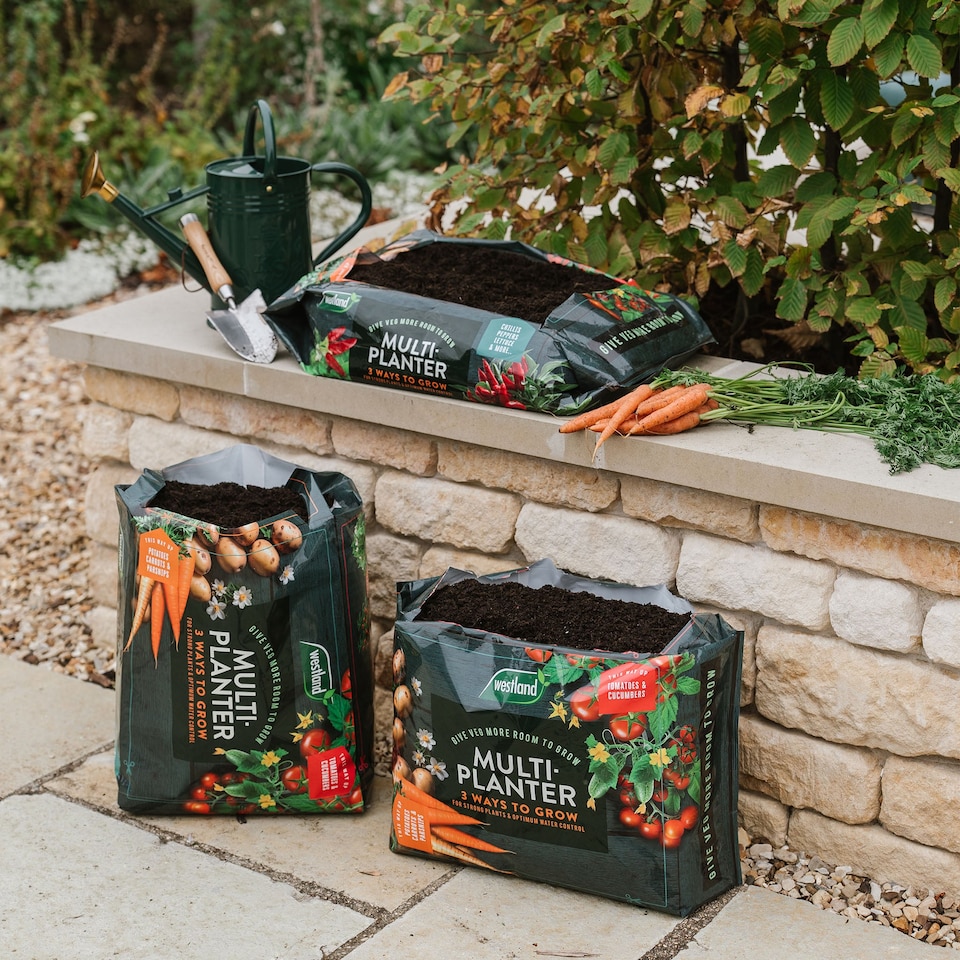 image 1 of Westland Peat Free Multi-Planter Medium 40 Litre