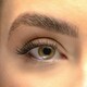 image 2 of Lola's Lashes Cat-eye Classic Pre-mapped Cluster Lashes