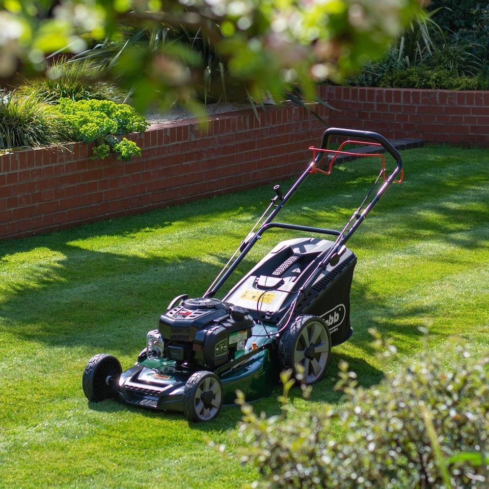 image 1 of Webb Supreme Self-Propelled Petrol Rotary Lawnmower - 46 cm or 53 cm