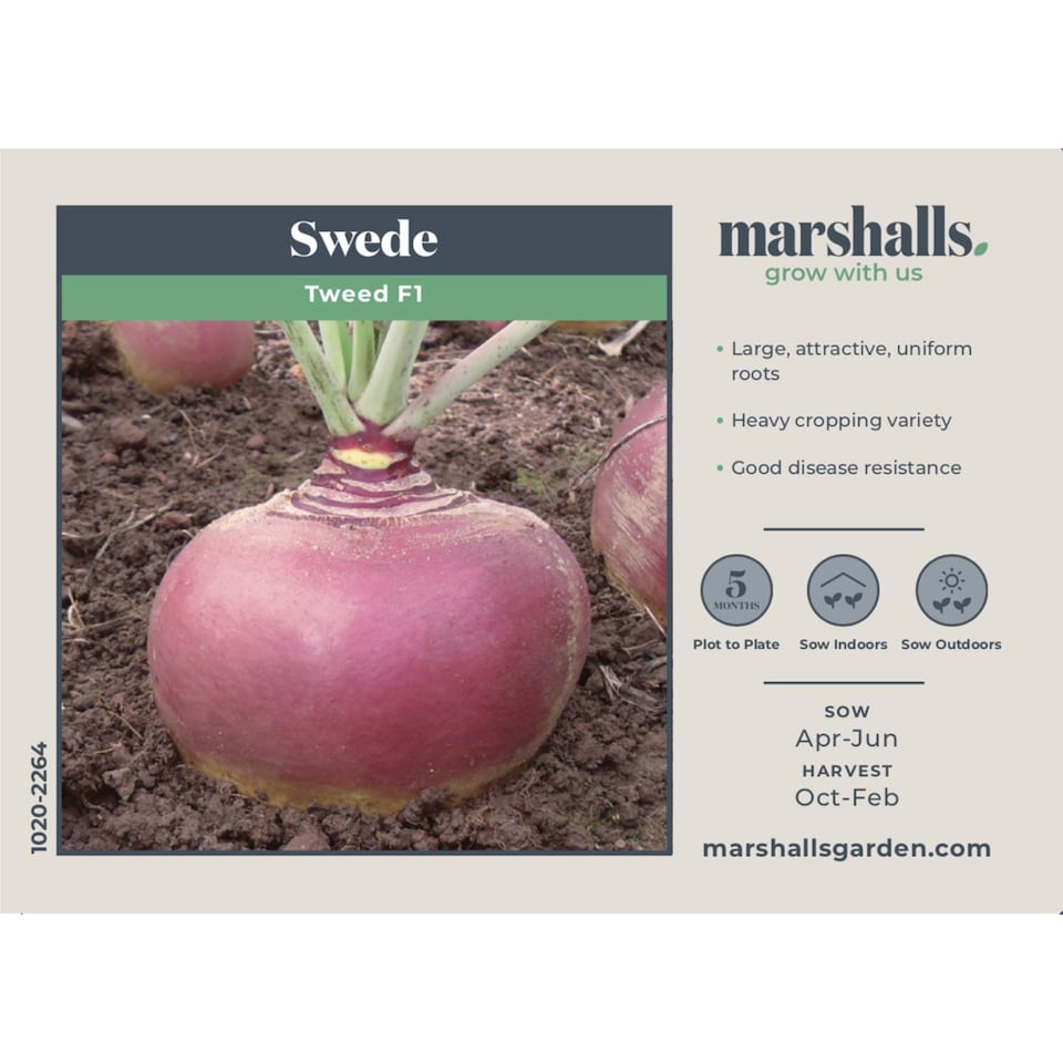image 1 of Marshalls Garden Swede Seeds Tweed 100 seeds