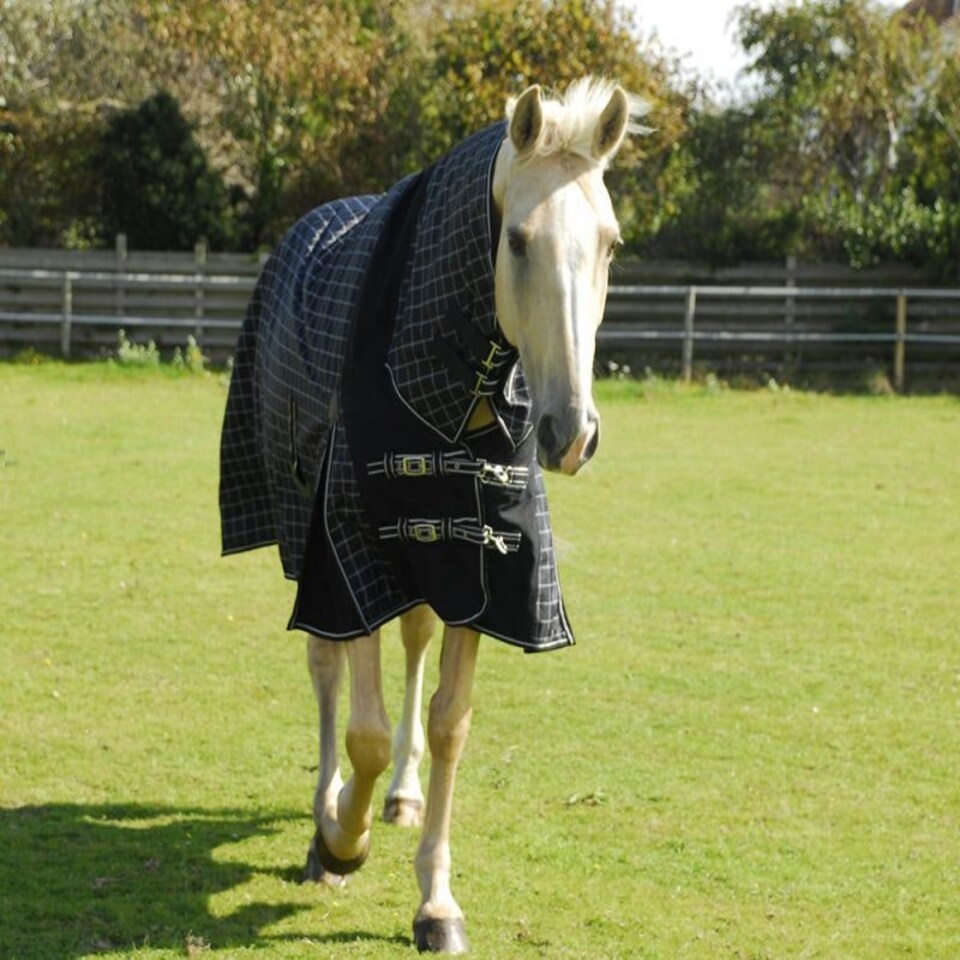 image 1 of Rhinegold Elite Full Neck Montpelier Rug Black | Colour: Black/White Check
Size: 5ft 9