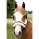 image 2 of Supreme Products Royal Occasion Horse Headcollar - Black - Pony
