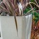 image 3 of Primrose Stone Effect Resin Indoor Outdoor Flared Planter Trough in White 76cm