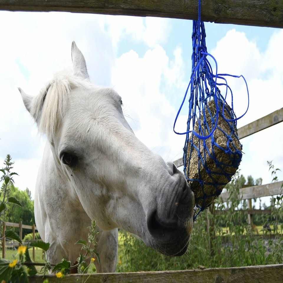image 1 of Equilibrium Munch Hay Net - Blue