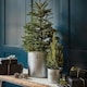 image 3 of Indoor Christmas Tree Bucket with Star in Galvanised Steel