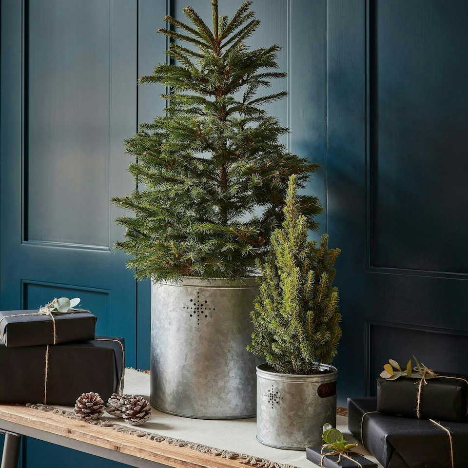 image 1 of Indoor Christmas Tree Bucket with Star in Galvanised Steel