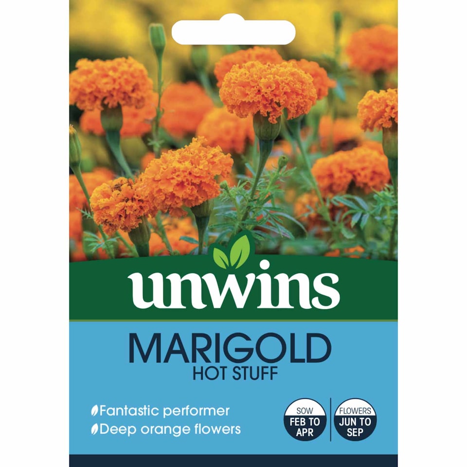 image 1 of Marshalls Garden Marigold Seeds 'Hot Stuff' Deep Orange, 75cm 50 seeds