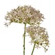 image 1 of Hill Interiors Hydrangea Artificial Flower - Lilac - One Size