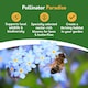 image 4 of Pronto Seed Wildflower Butterfly & Bee Garden Seed Shaker - 25m2 Garden Flower Seeds | Multi | Butterfly & Bee 25m2 | 1