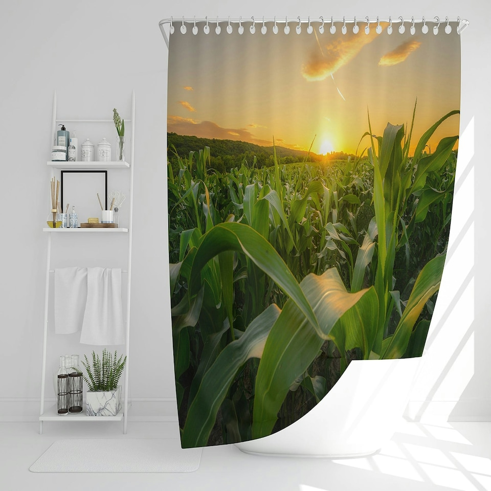 image 1 of Young green corn growing on the field at sunset (Shower Curtain) (Shower Curtain)