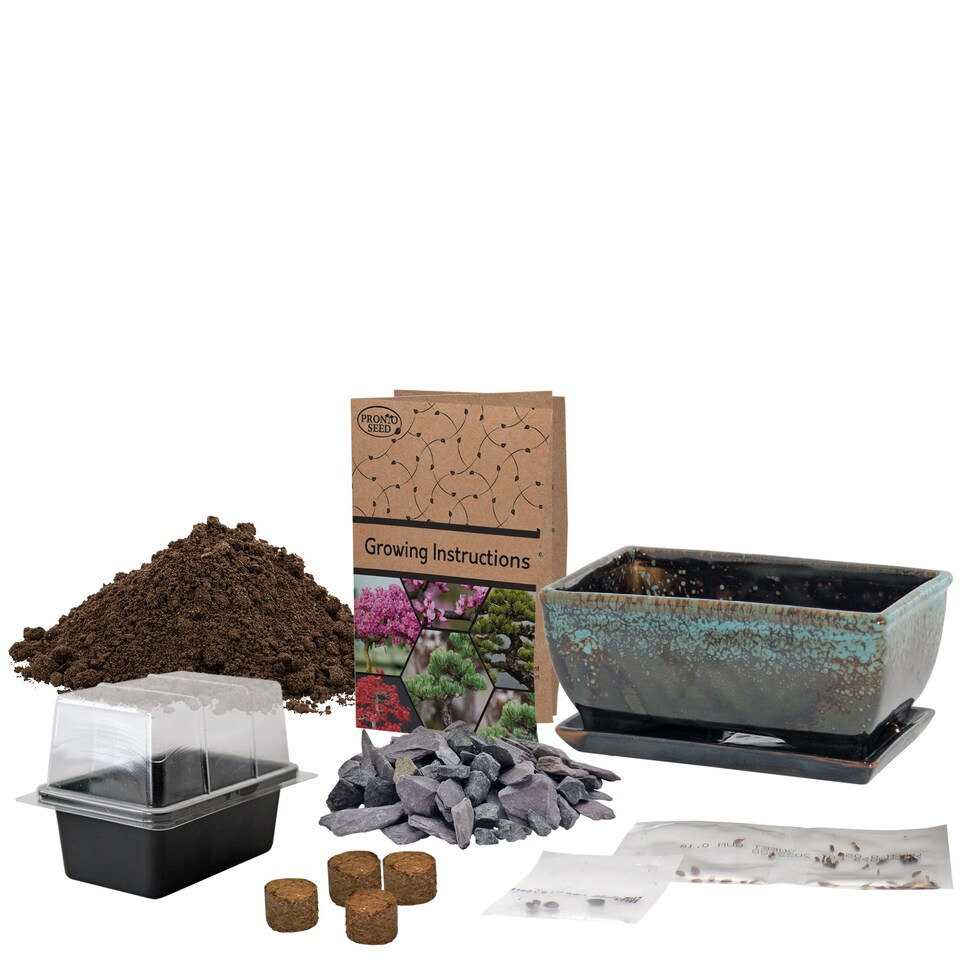 image 1 of Pronto Seed Bonsai Tree Kit with Traditional Bonsai Pot & 3 Bonsai Seed Varieties - Grow Your Own Bonsai - Gardening Gifts for Men